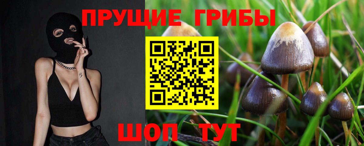 Псилоцибиновые грибы Magic Shrooms  Вход с VPN  Муравленко 
